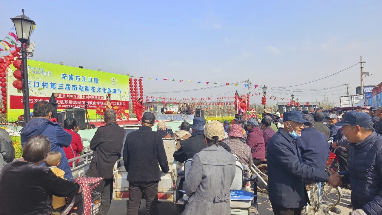 2025年4月3日，2025辛集市文化进基层惠民演出戏曲专场走进王口南湖梨花节
