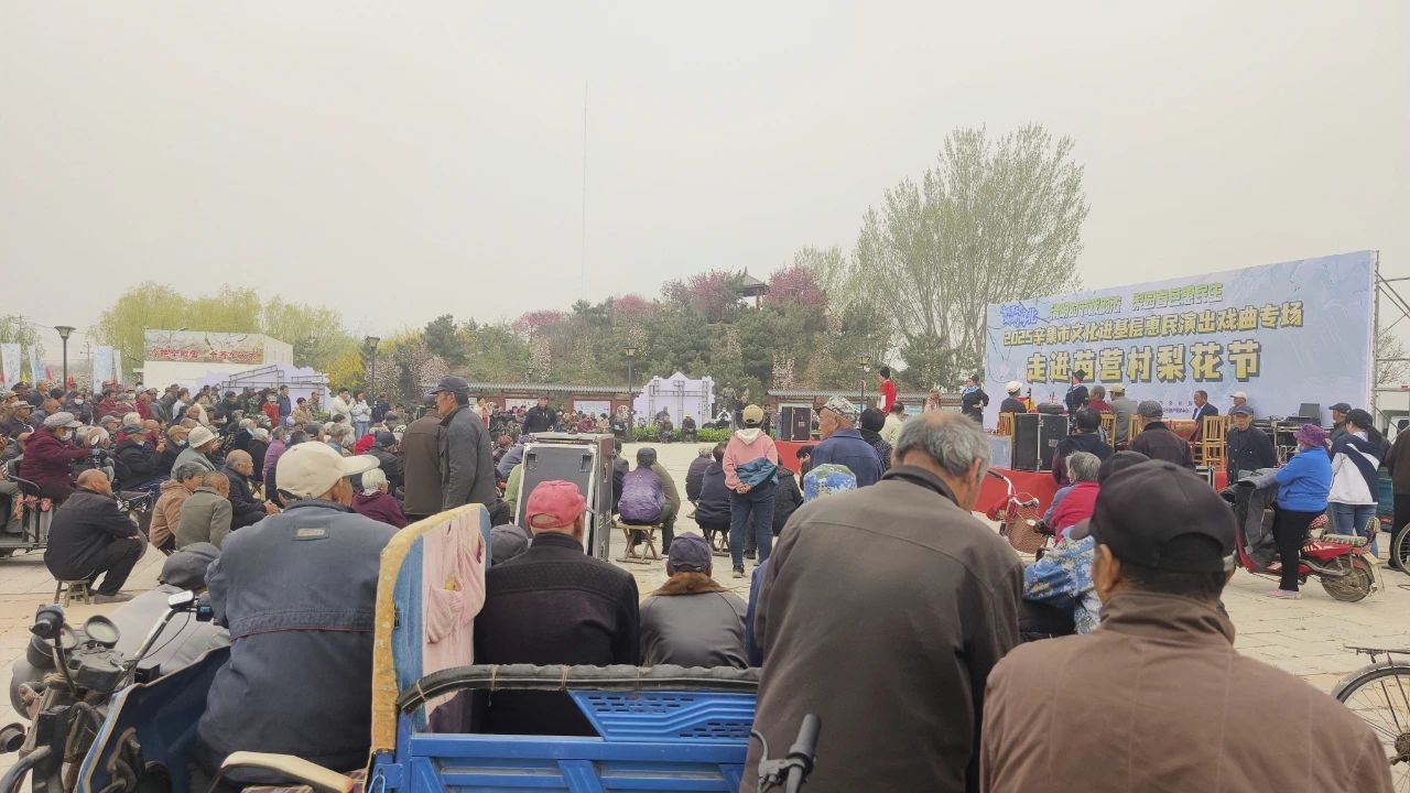 2025辛集市文化进基层惠民演出戏曲专场走进苗营村梨花节