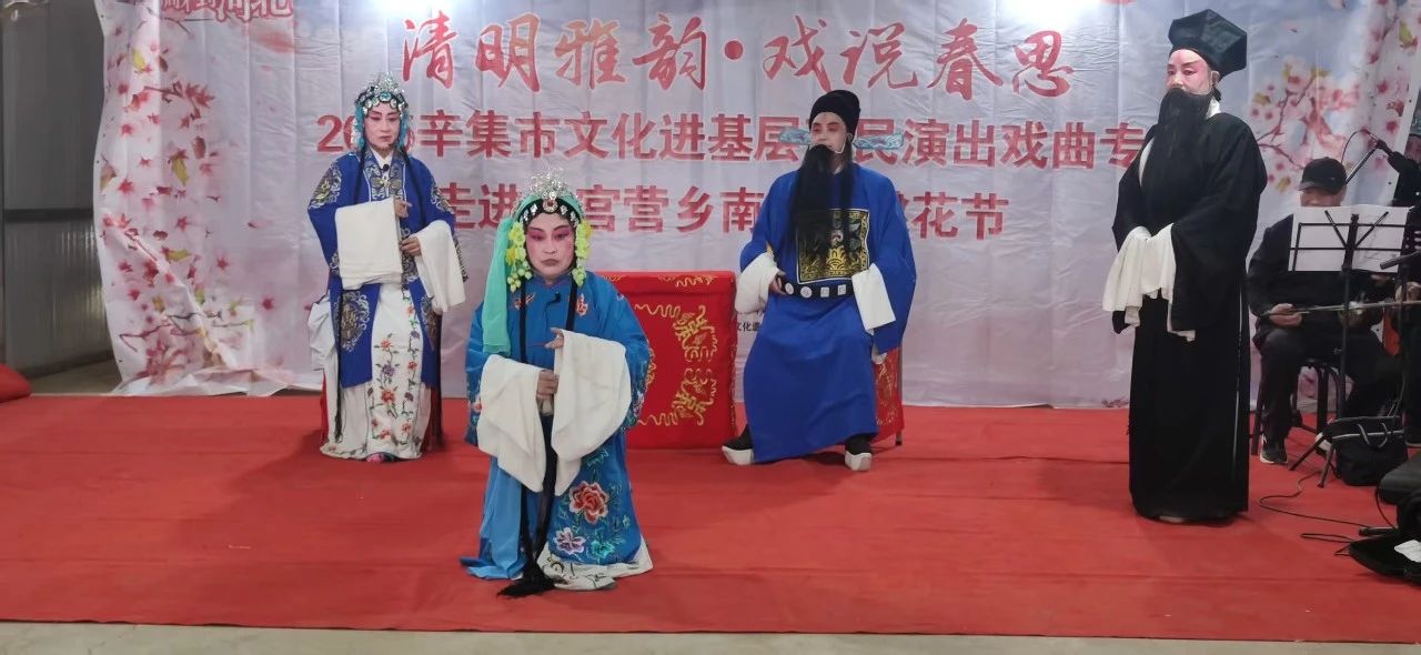 2025辛集市文化进基层惠民演出戏曲专场走进天宫营乡南庞村桃花节
