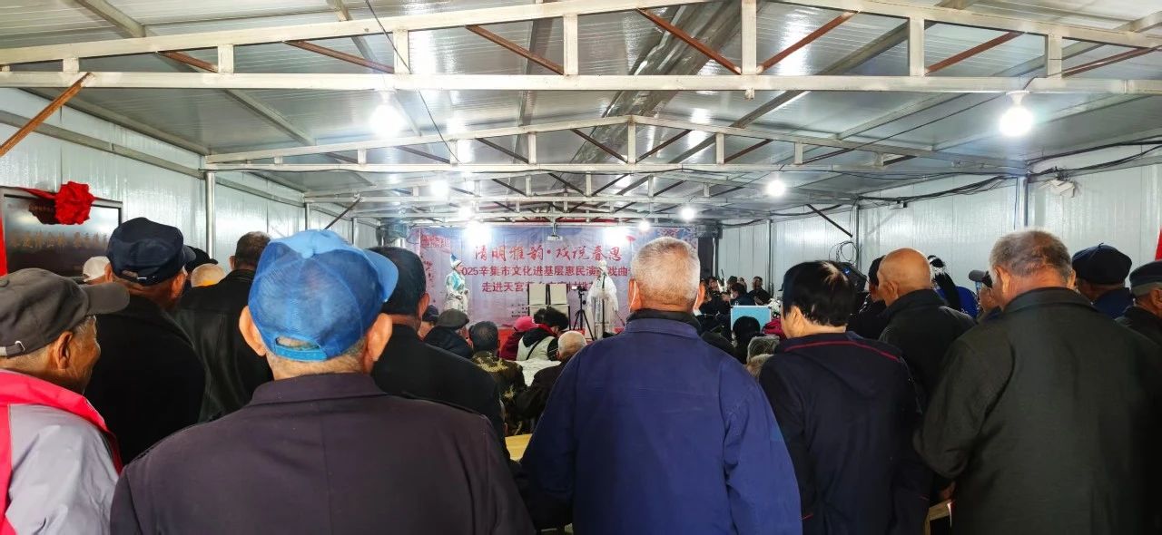 2025辛集市文化进基层惠民演出戏曲专场走进天宫营乡南庞村桃花节