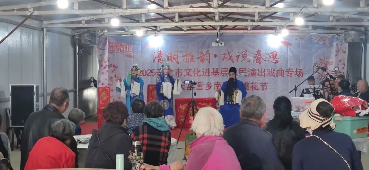 2025辛集市文化进基层惠民演出戏曲专场走进天宫营乡南庞村桃花节
