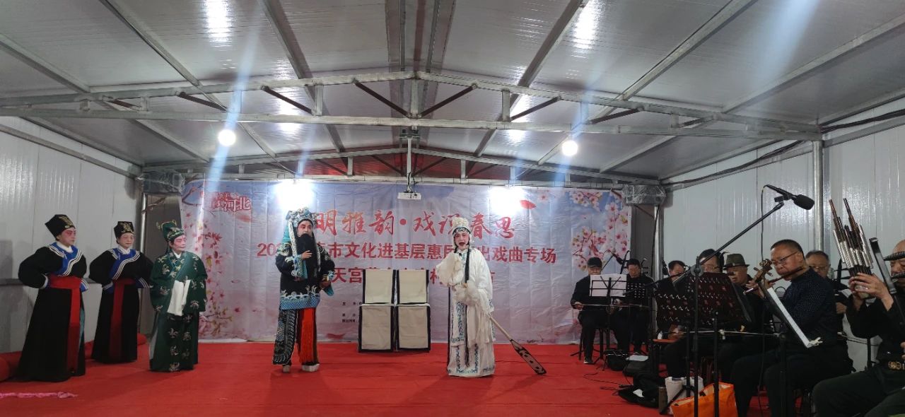 2025辛集市文化进基层惠民演出戏曲专场走进天宫营乡南庞村桃花节