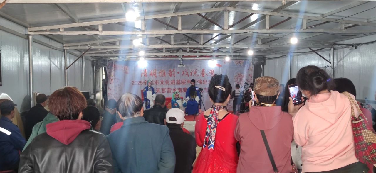 2025辛集市文化进基层惠民演出戏曲专场走进天宫营乡南庞村桃花节